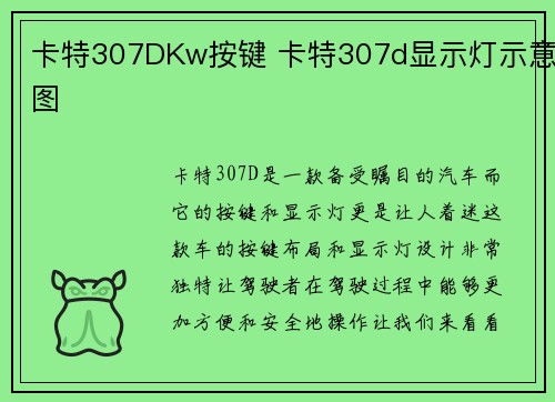 卡特307DKw按键 卡特307d显示灯示意图